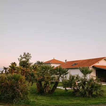 Hakuna Matata Villa