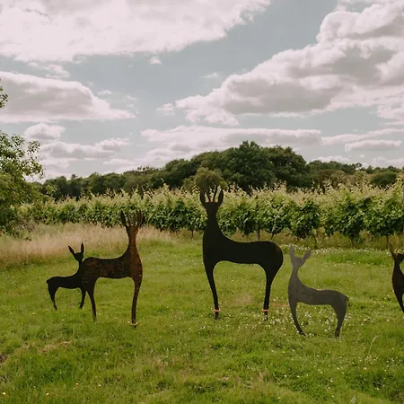 Villa Hakuna Matata *