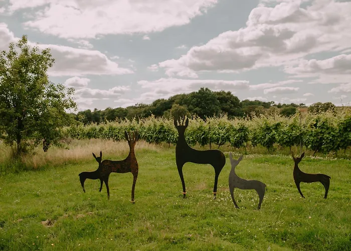 Villa Hakuna Matata *